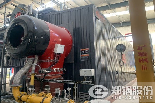 振興焦化35t/h燃?xì)庵袎赫羝仩t