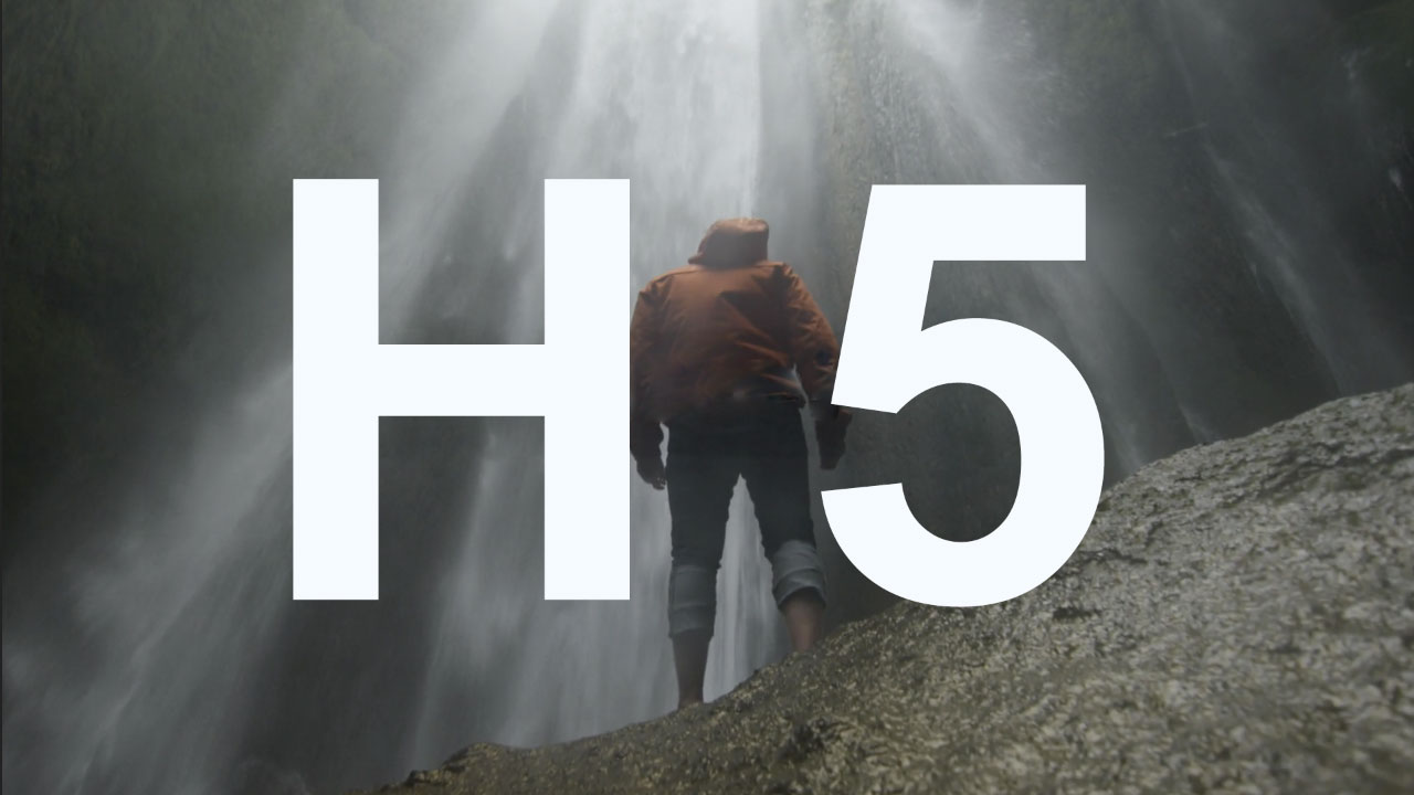 密集服務(wù)網(wǎng)絡(luò)