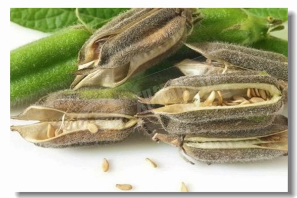 鍋爐給水三沖量原理圖是什么樣的？