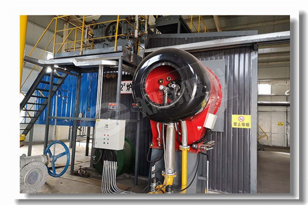 11蒸噸生物質鍋爐