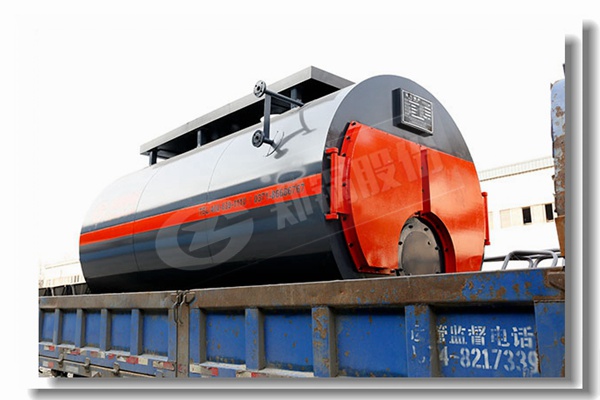 燃氣和燃油蒸汽鍋爐熱流體加熱器醫(yī)院