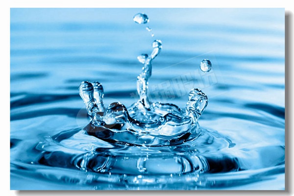 爐排爐同cfb鍋爐比較有什么區(qū)別？