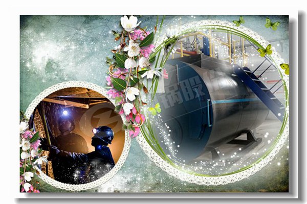 燒煤的鍋爐6噸多少錢？