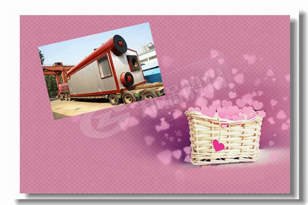 2t容量燃?xì)庹羝仩t