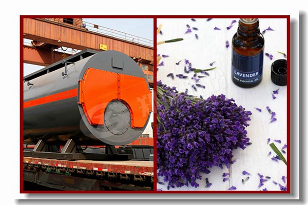 折扣熱水鍋爐散熱器