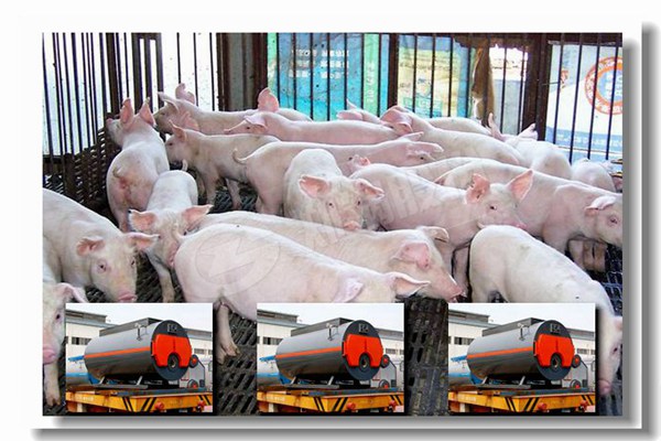 工業(yè)燃?xì)饫淠仩t